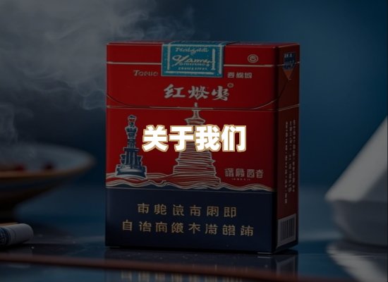 关于蓝帝网